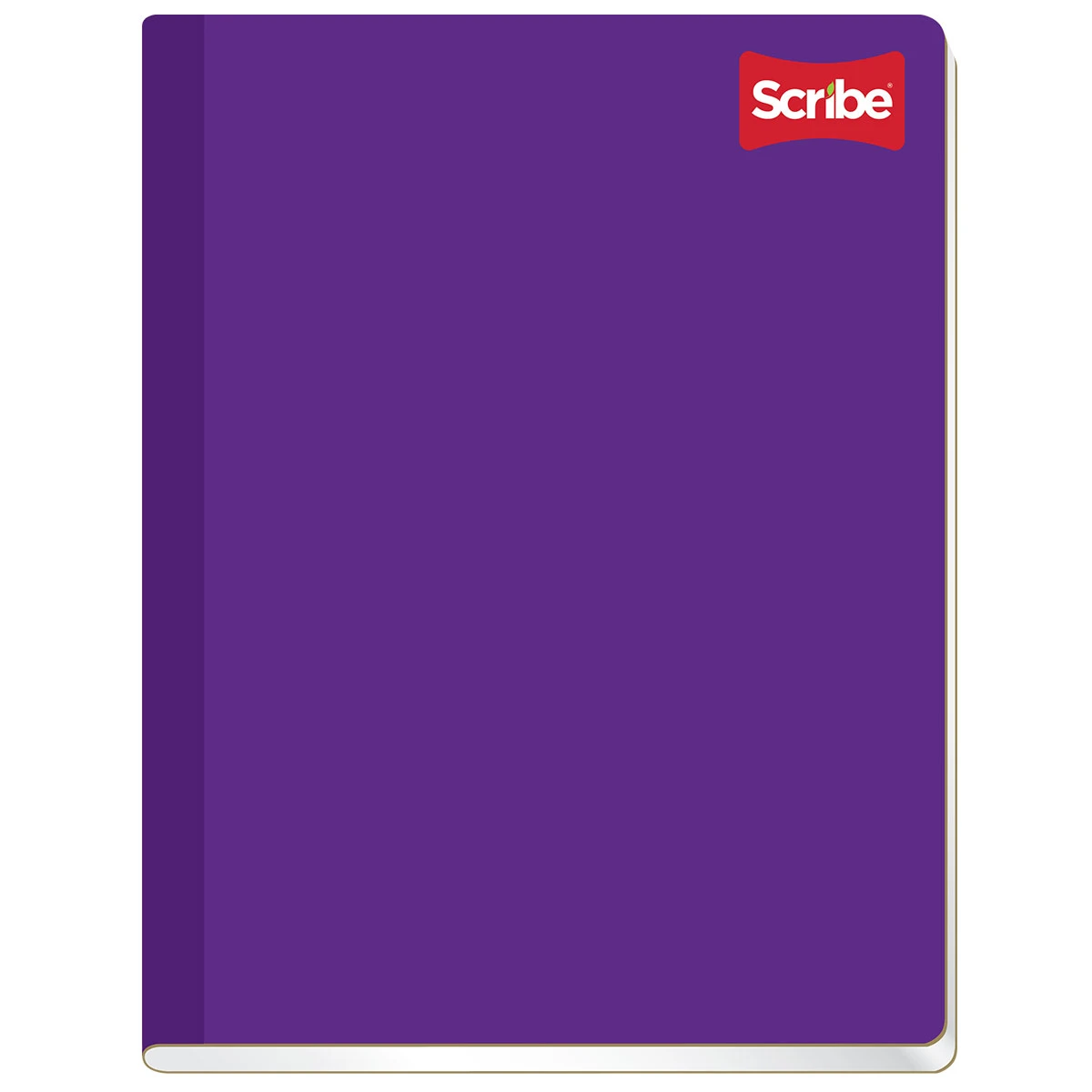 CUADERNO PROFESIONAL 100H COS CLASICO BC