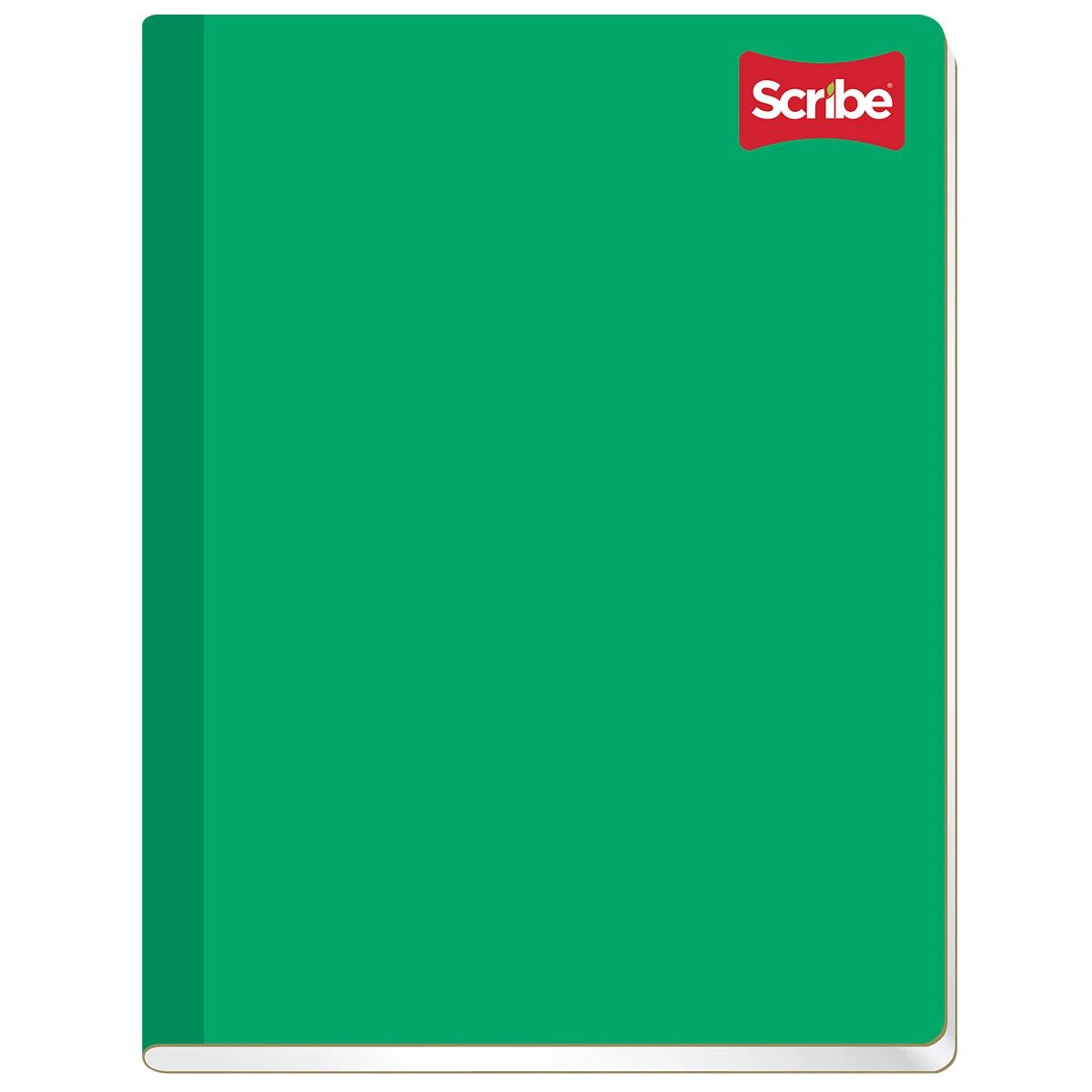 CUADERNO PROFESIONAL 100H COS CLASICO BC