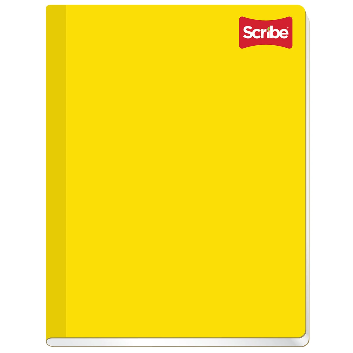 CUADERNO PROFESIONAL 100H COS CLASICO BC
