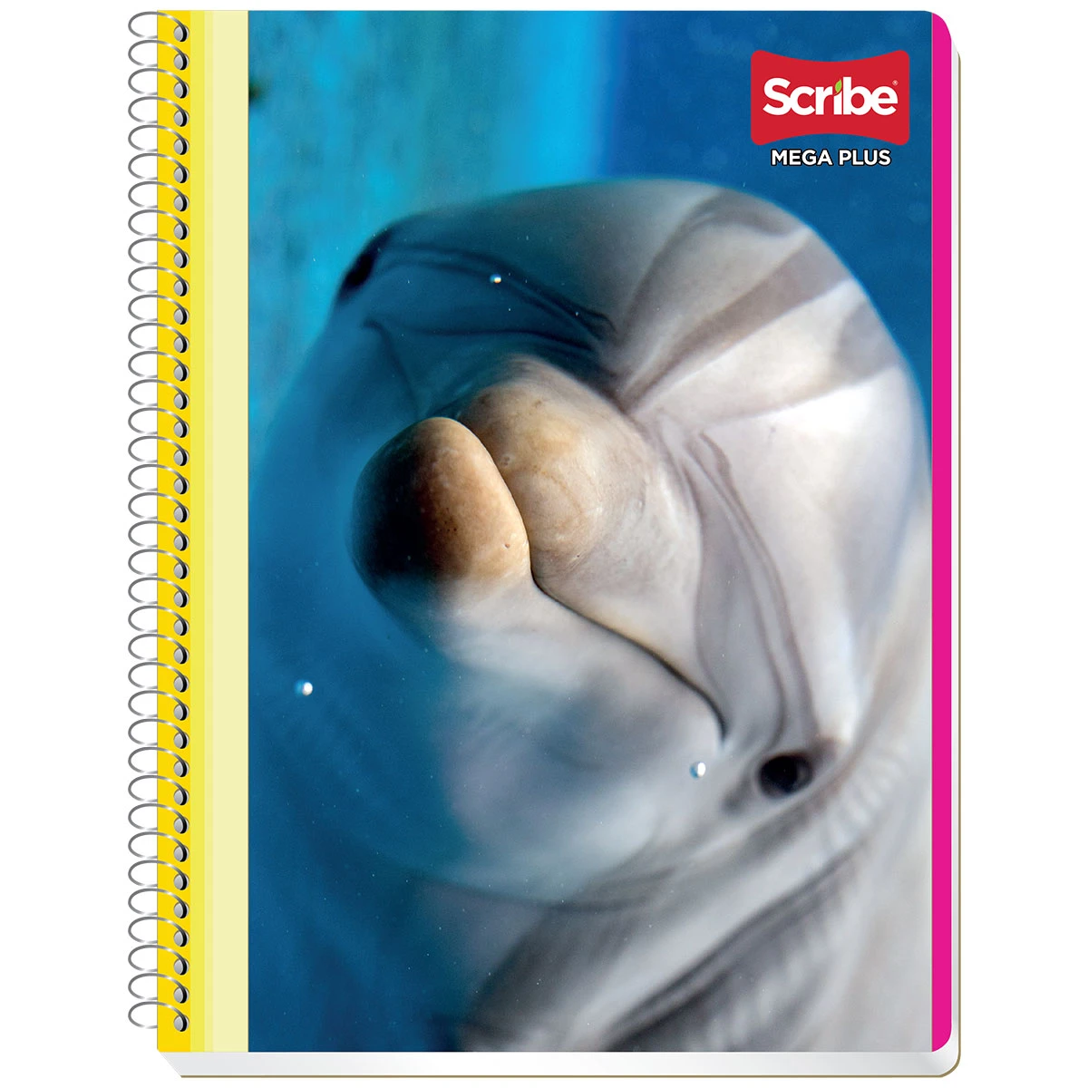 CUADERNO PROFESIONAL 100HJS MEGA PLUS MIXTO