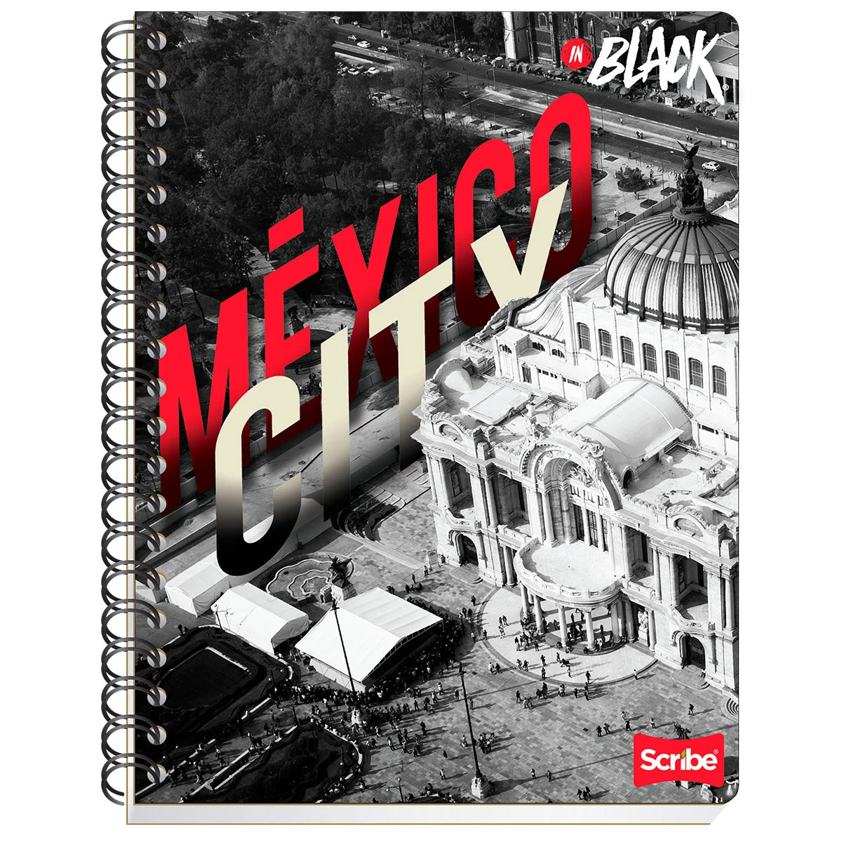 CUADERNO PROFESIONAL 100HJS BLACK RAYA