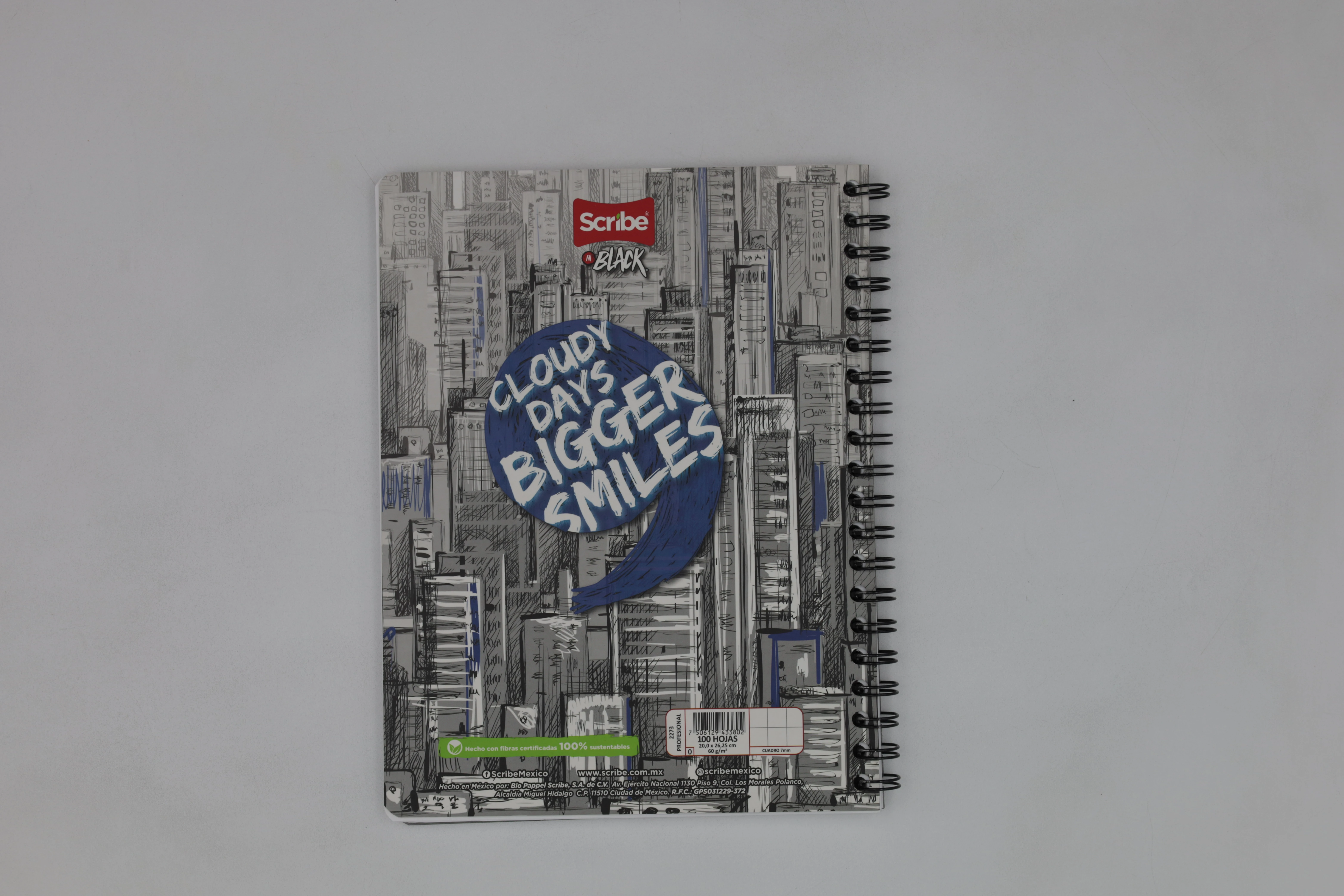 CUADERNO PROFESIONAL 100HJS BLACK C7
