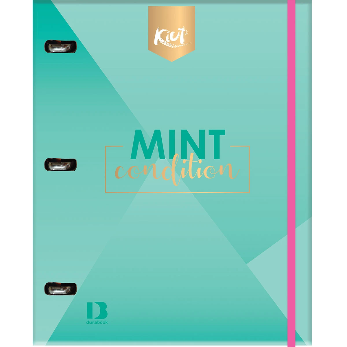 CARPETA PROFESIONAL 100HJS KIUT RAYA