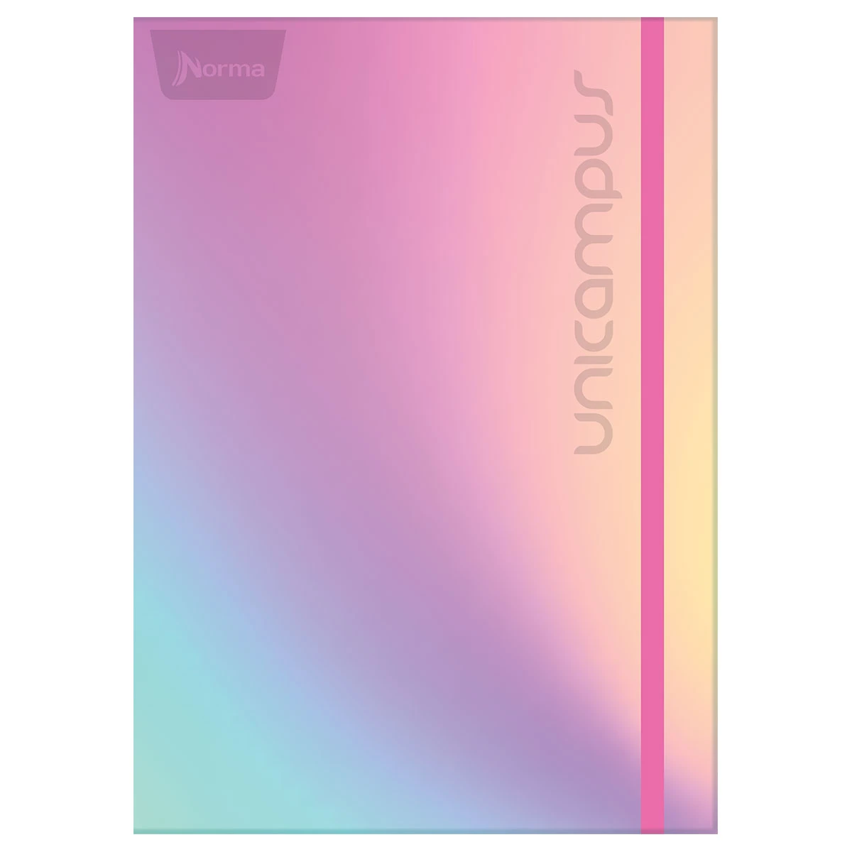CARPETA PROFESIONAL 100HJS UNICAMPUS
