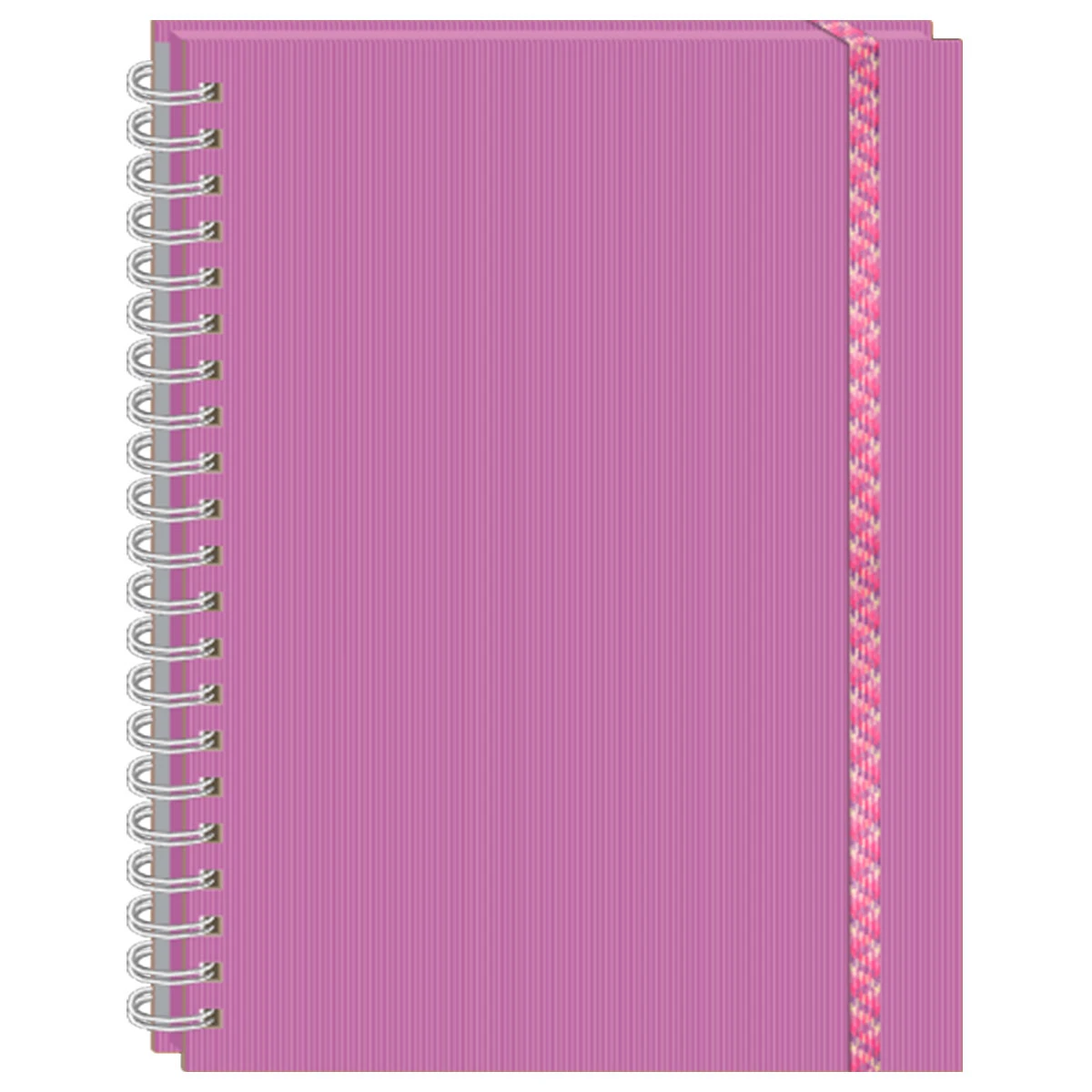 CUADERNO PROFESIONAL 100HJS ARCOIRIS C5