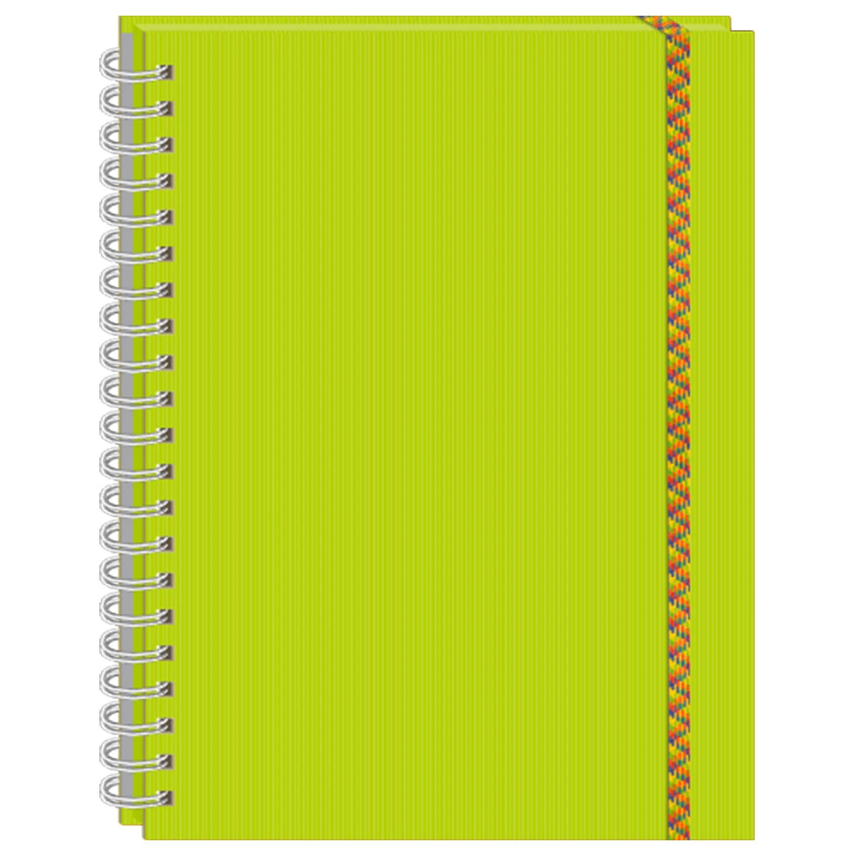 CUADERNO PROFESIONAL 100HJS ARCOIRIS C5