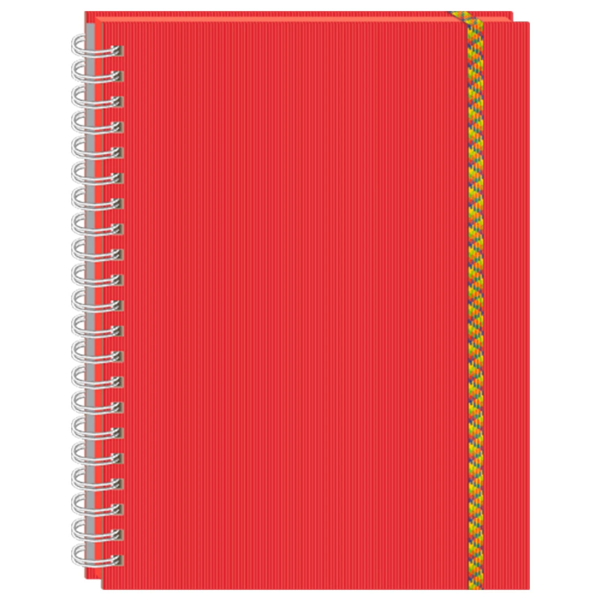 CUADERNO PROFESIONAL 100HJS ARCOIRIS C5