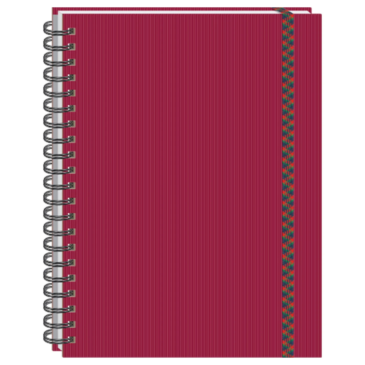CUADERNO PROFESIONAL 100HJS EJECUTIVO RAYA