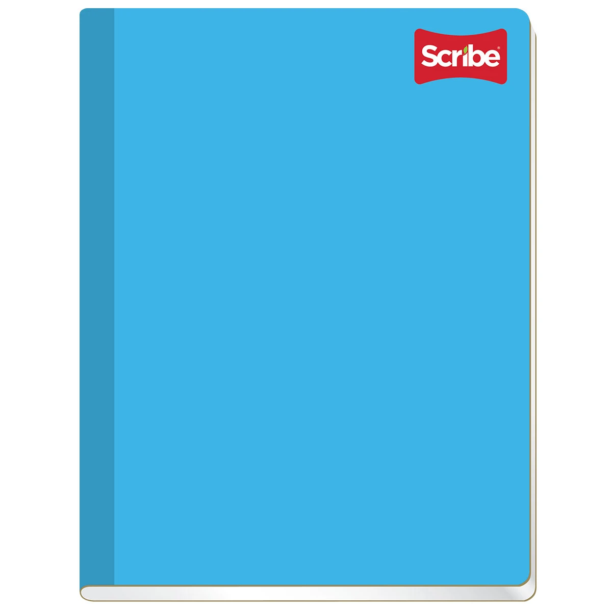 CUADERNO PROFESIONAL 100H COS CLASICO 14