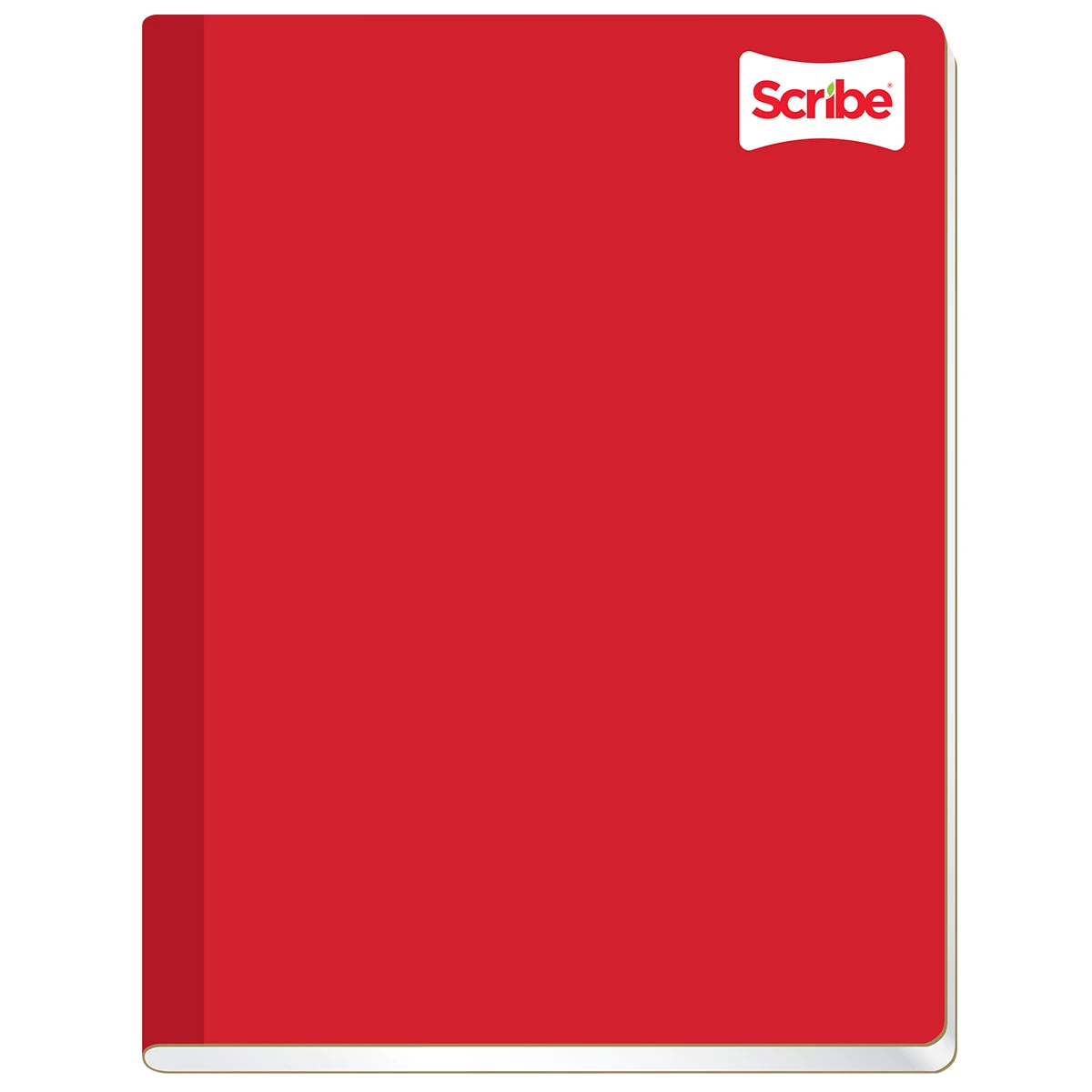 CUADERNO PROFESIONAL 100H COS CLASICO 14