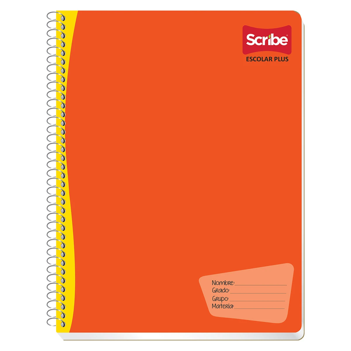 CUADERNO PROFESIONAL 100HJS ESC PLUS C14