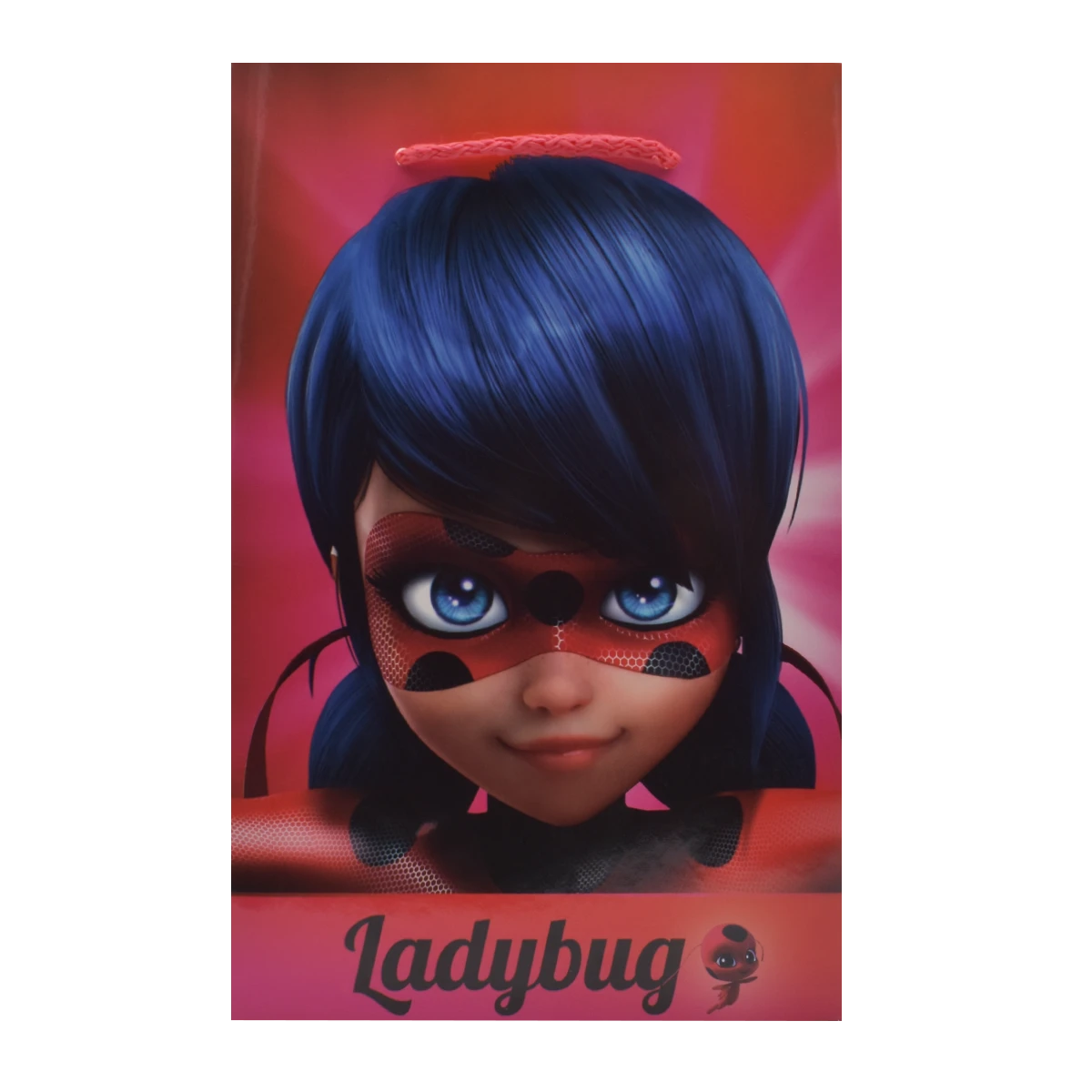 BOLSA LICENCIA CHICA LADYBUG