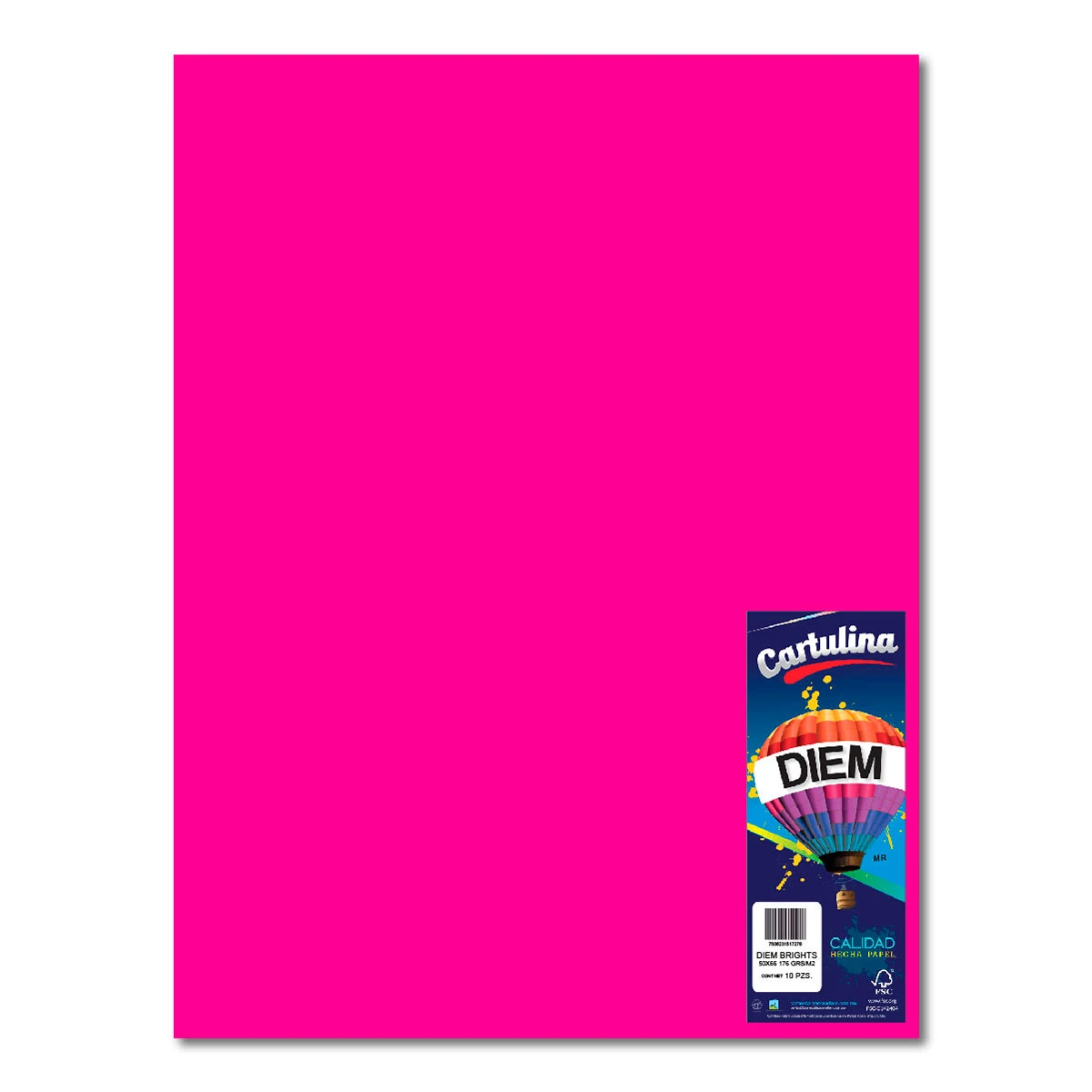 CARTULINA 50X66CM 176GRS C/10 FIUSHA