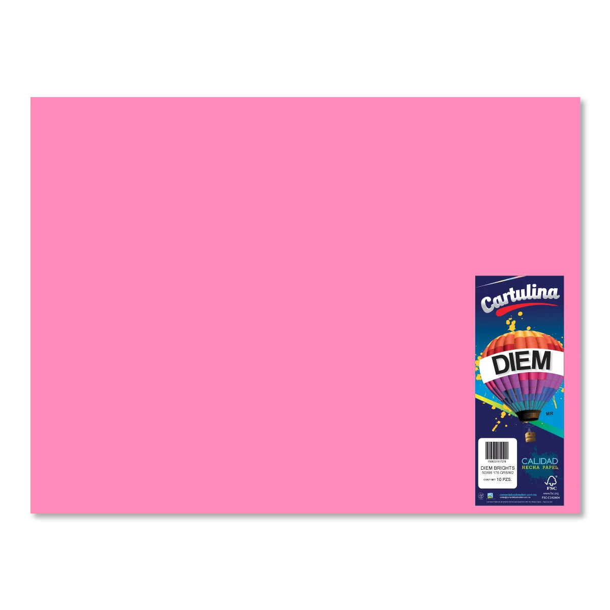 CARTULINA 50X66CM 176GRS C/10 ROSA BRILLANTE