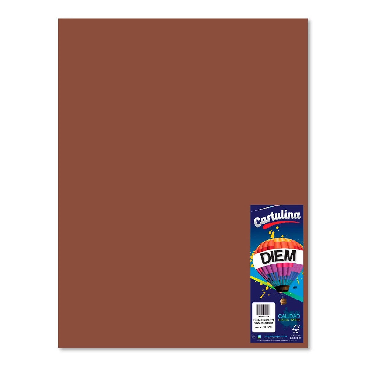 CARTULINA 50X66CM 176GRS C/10 CAFE OBSCURO