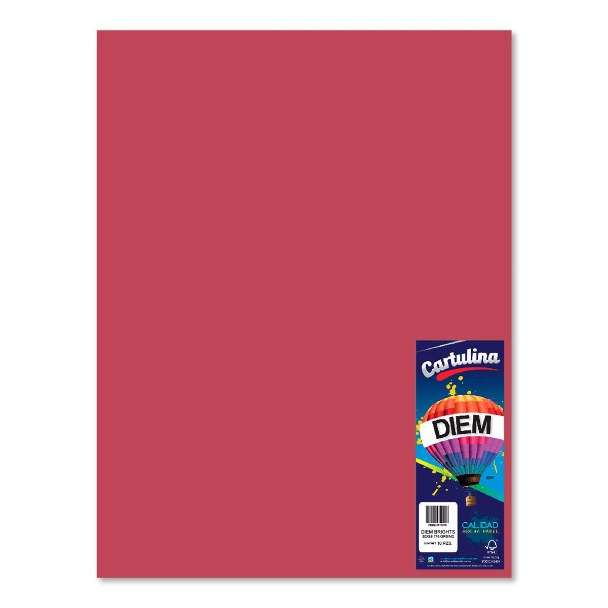 CARTULINA 50X66CM 176GRS C/10 VINO