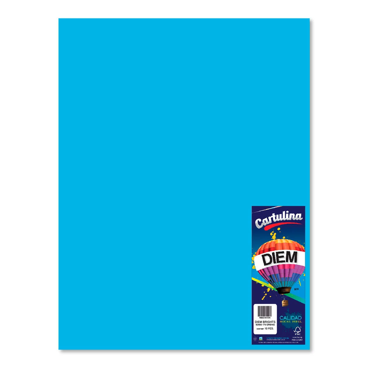 CARTULINA 50X66CM 176GRS C/10 AZUL INTENSO