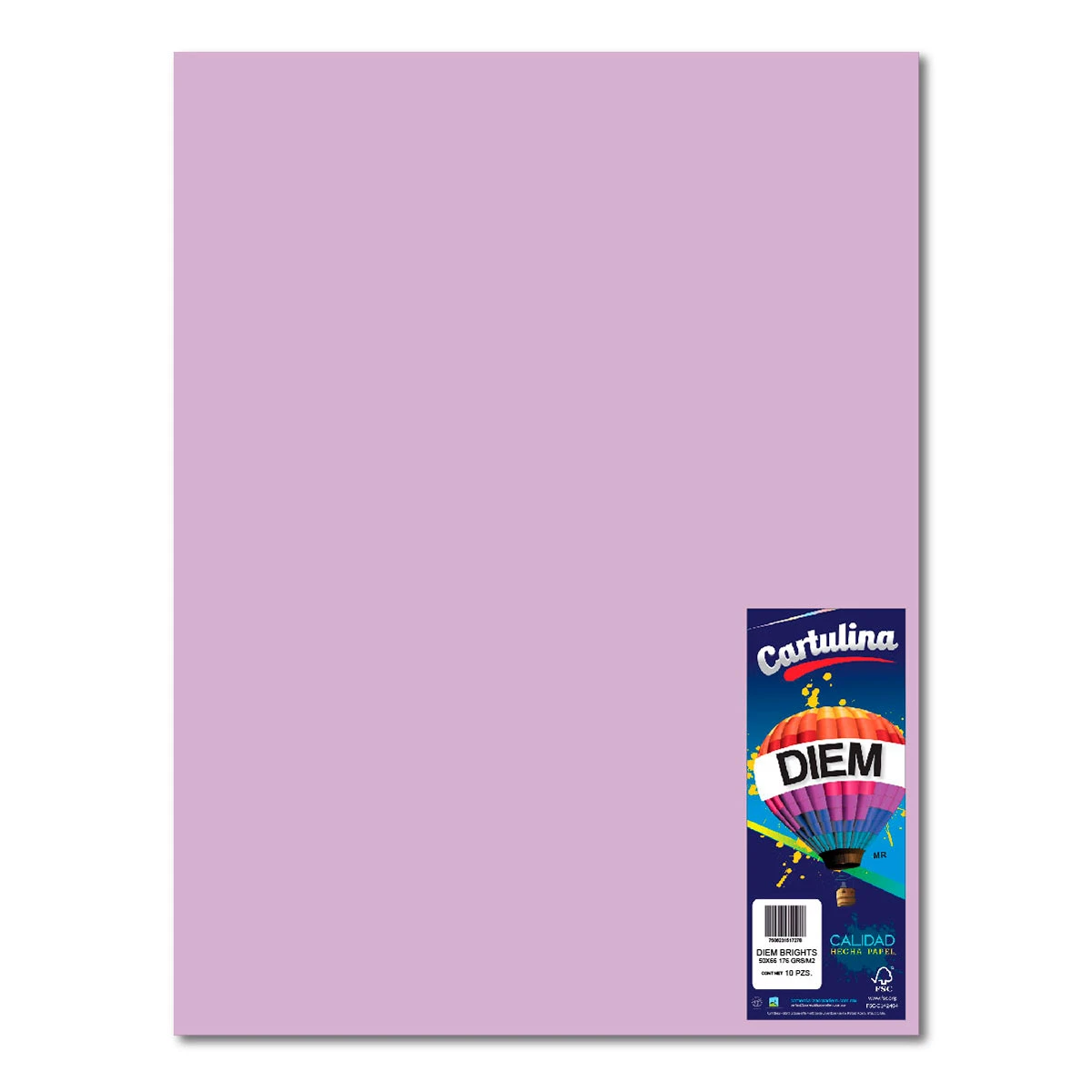 CARTULINA 50X66CM 176GRSC/10 PASTEL LILA