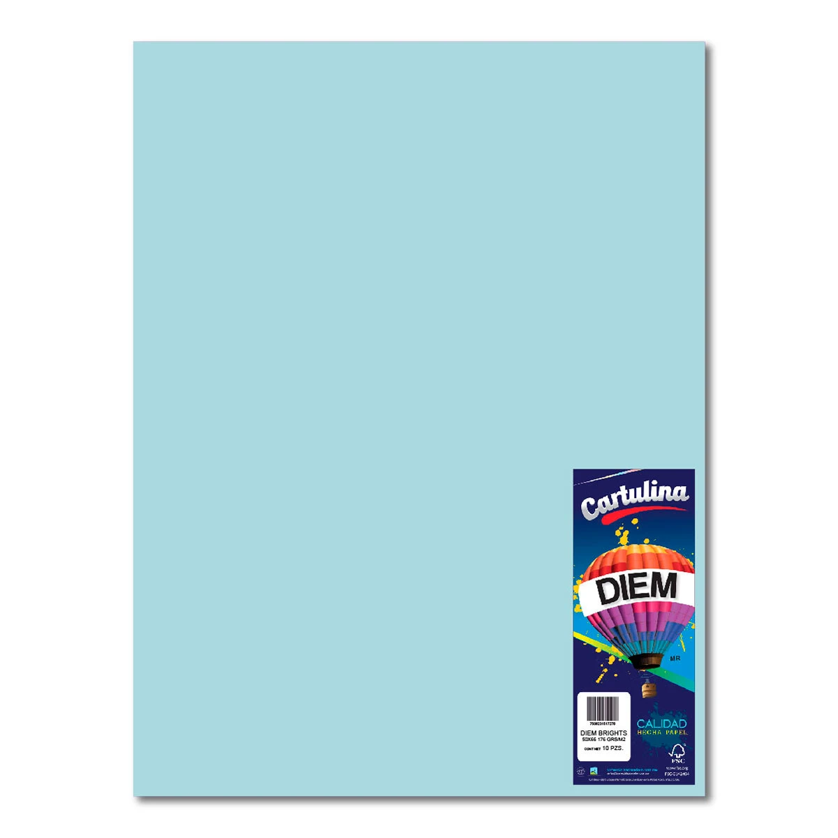 CARTULINA 50X66CM 176GRS C/10 PASTEL AZUL