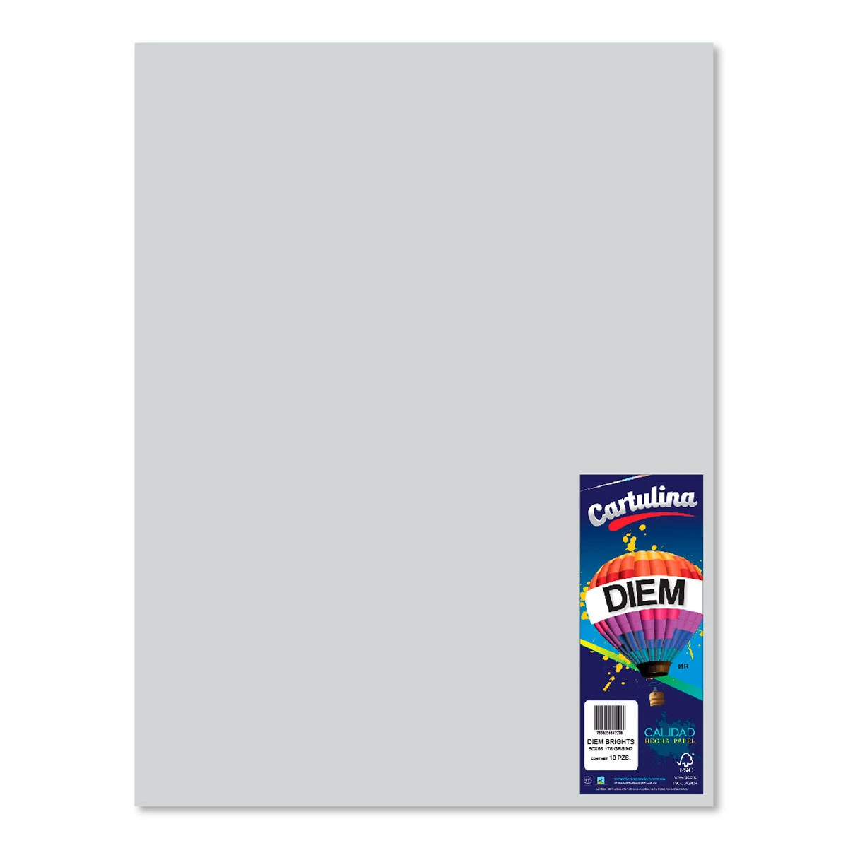 CARTULINA 50X66CM 176GRS C/10 PASTEL GRIS