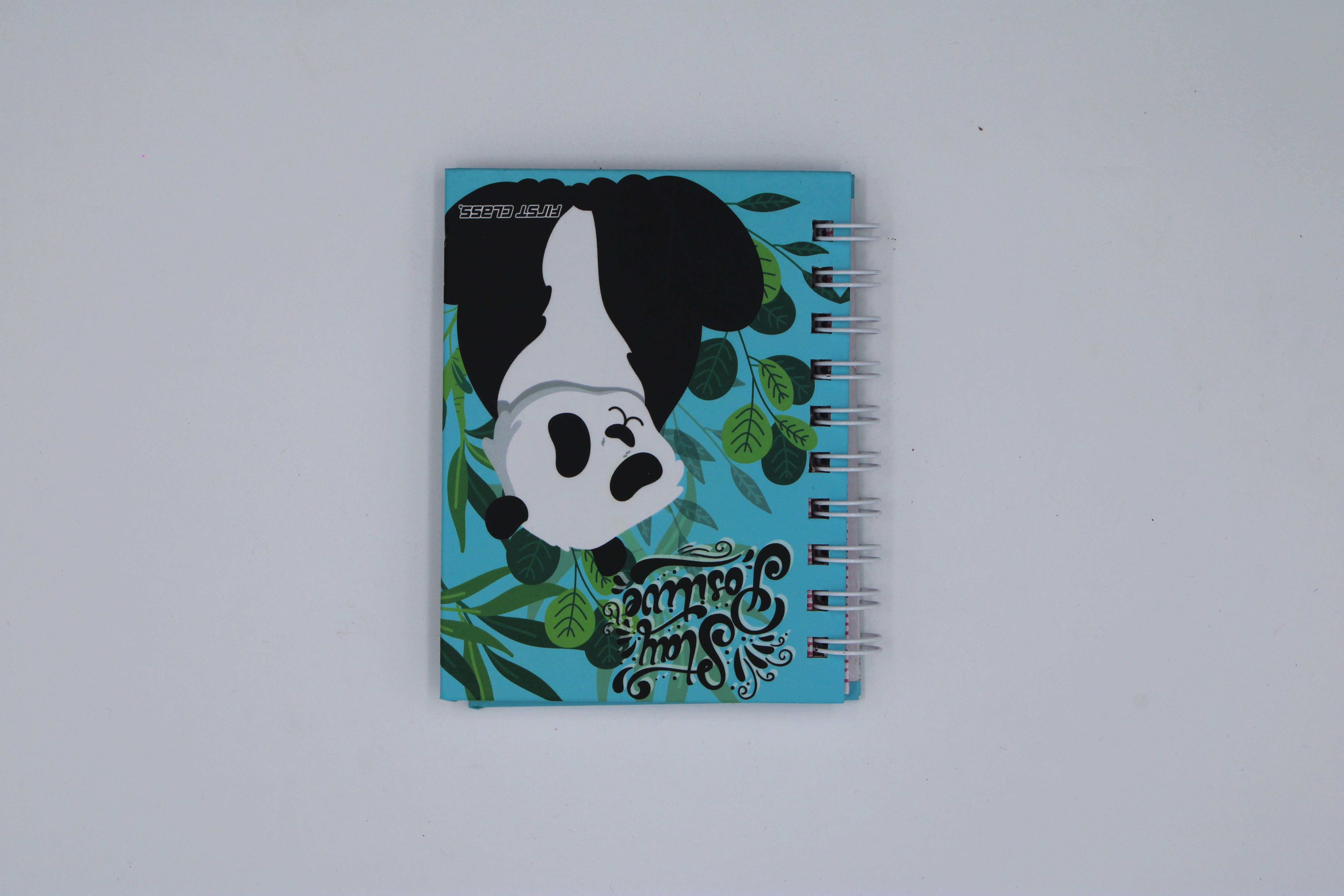 CUADERNO POCKET 100HJS RAYA ANIMALES