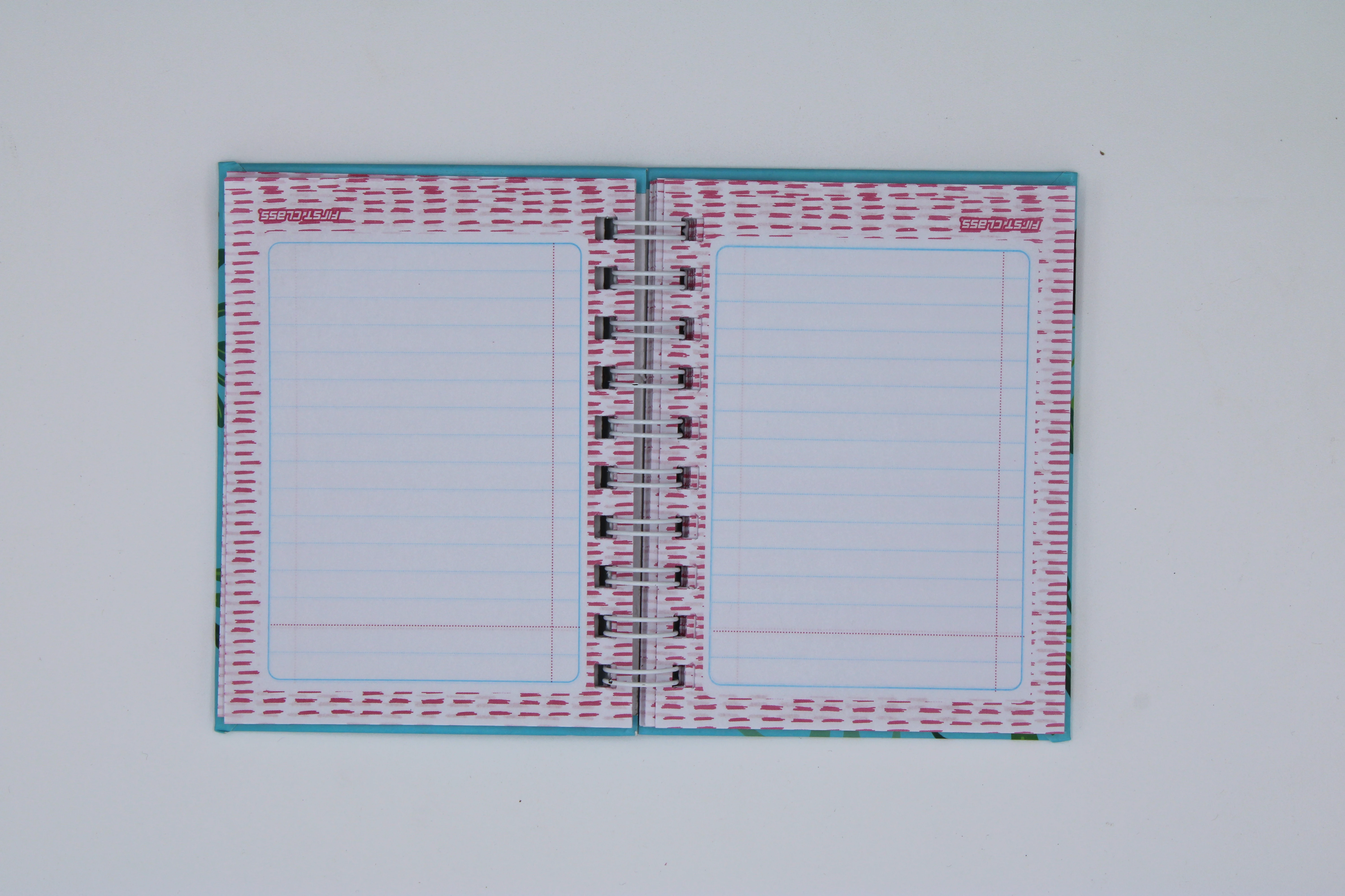 CUADERNO POCKET 100HJS RAYA ANIMALES