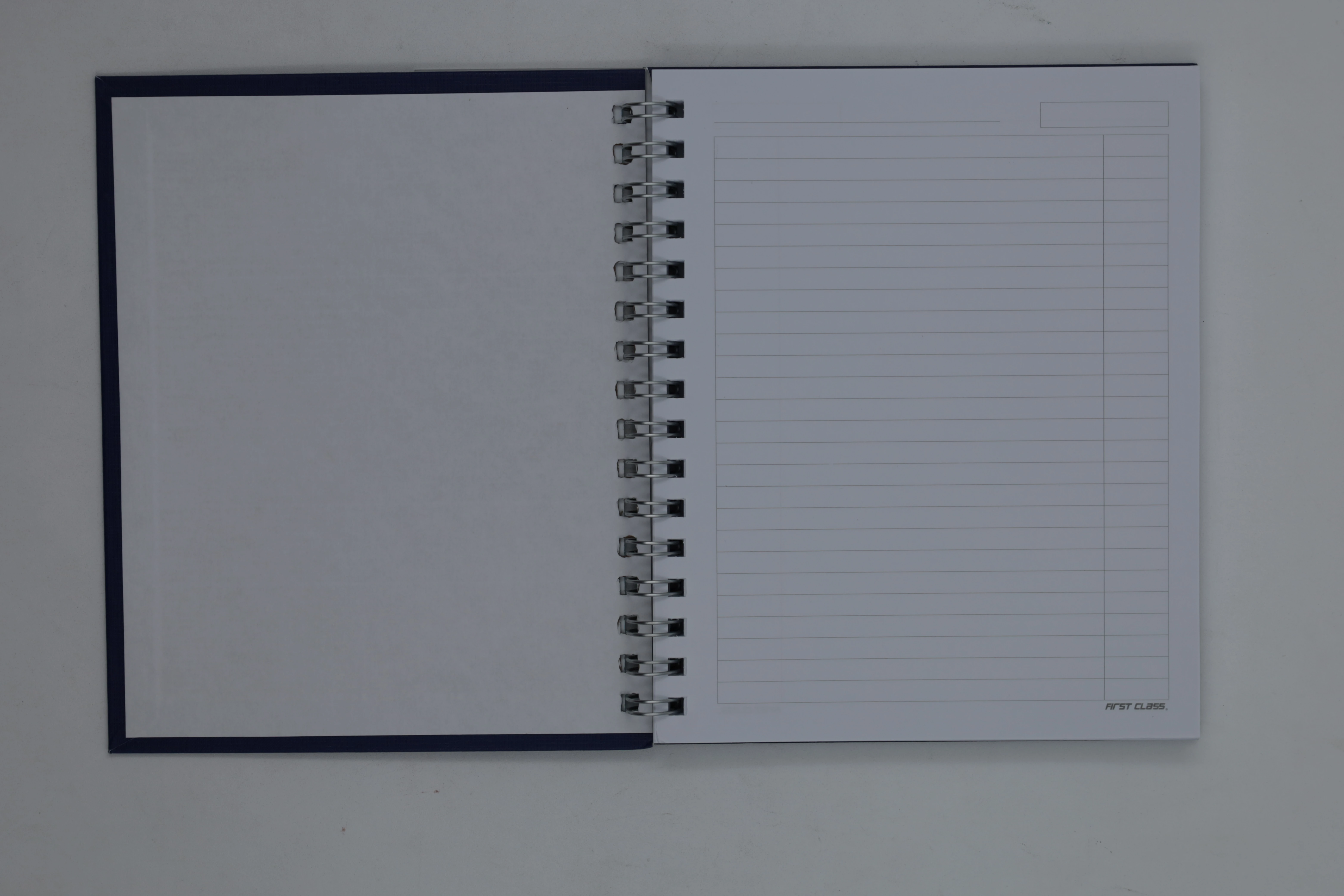 CUADERNO FRANCES 100HJS RAYA NUTRIA COLORS 7592