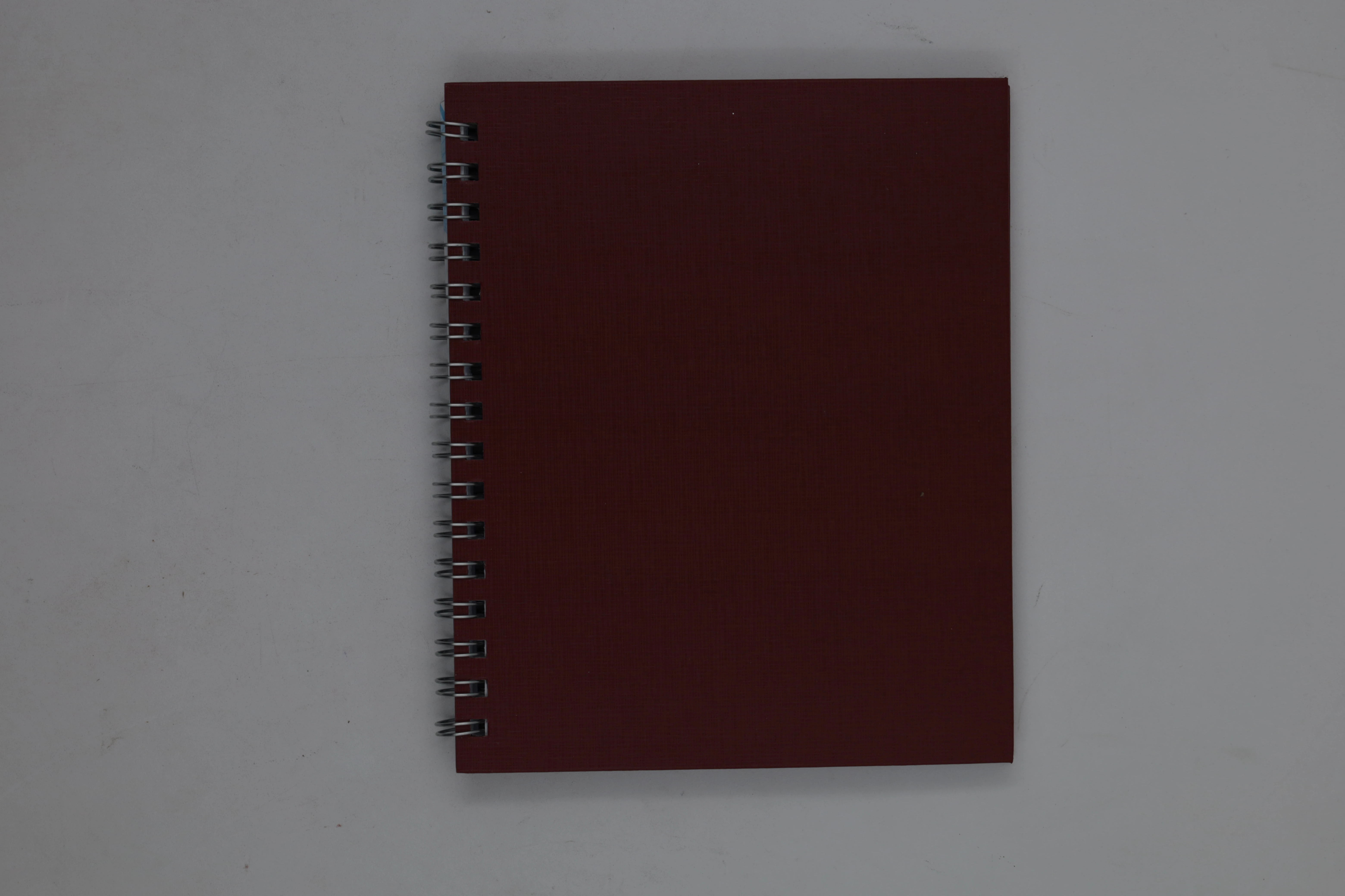 CUADERNO FRANCES 100HJS RAYA NUTRIA COLORS 7592