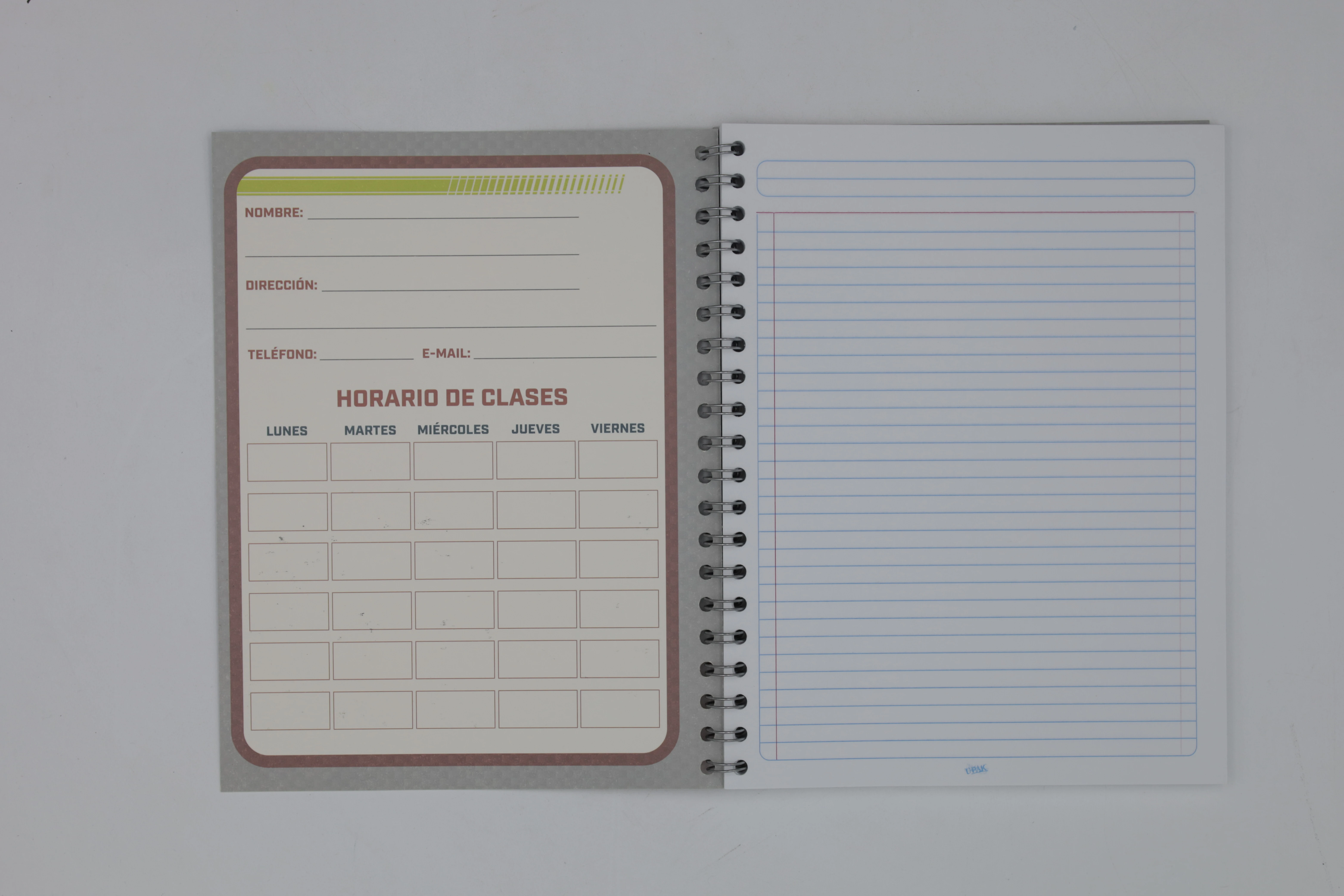 CUADERNO PROFESIONAL 100HJS DEPORTIVOS AL FUTURO RAYA.
