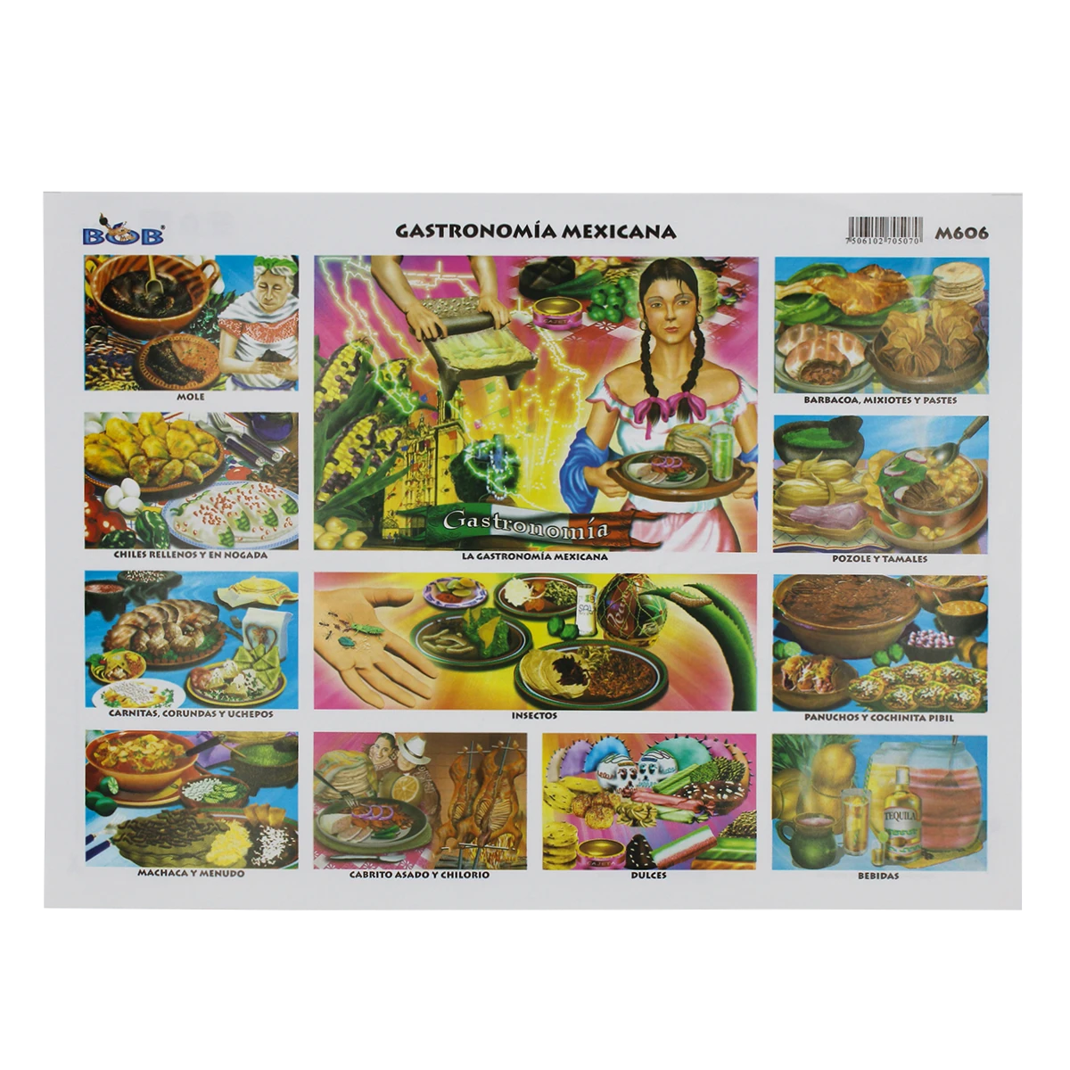 MONOGRAFIA BOB C/25 606 GASTROMOMIA MEXICANA
