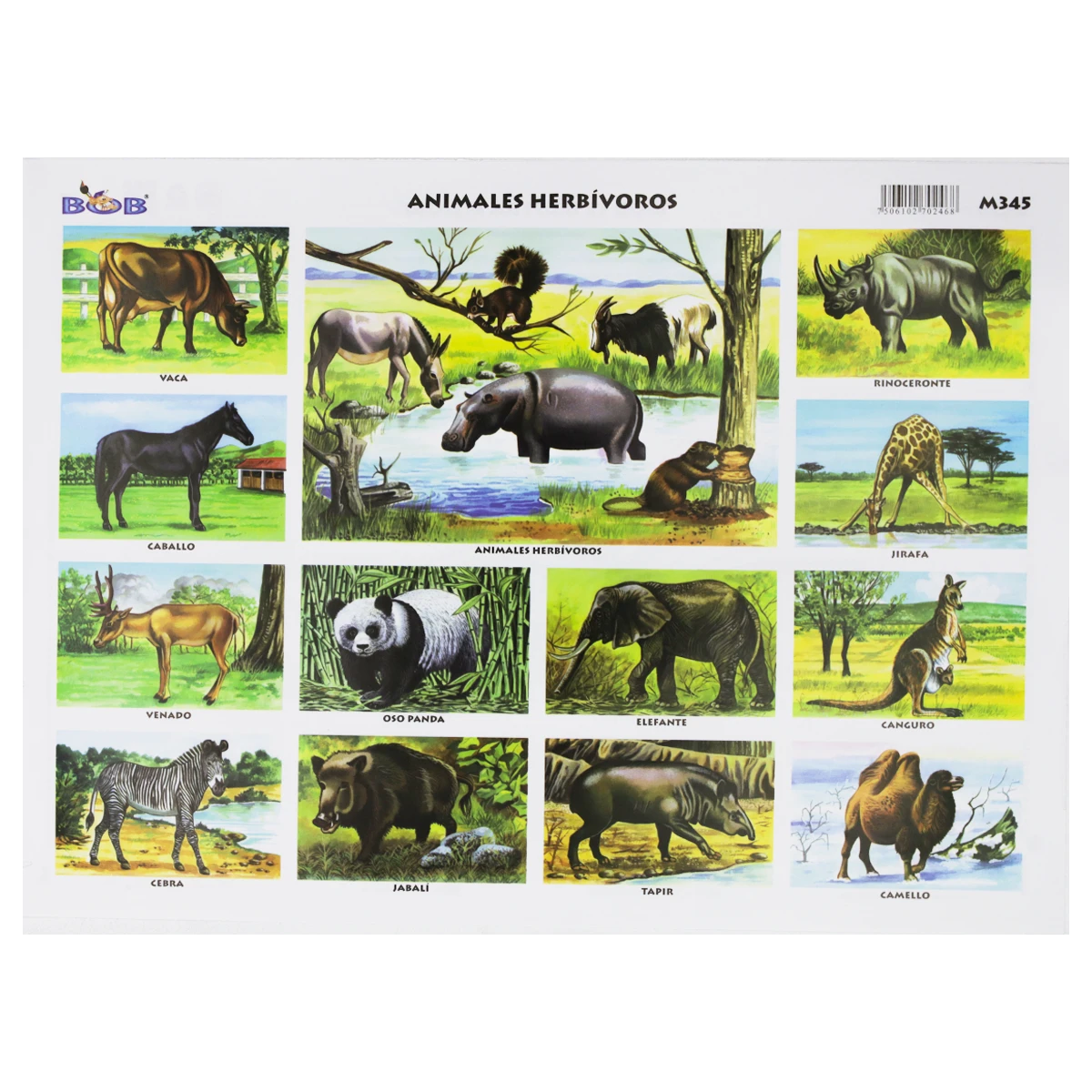 MONOGRAFIA BOB C/25 345 ANIMALES HERBIVOROS