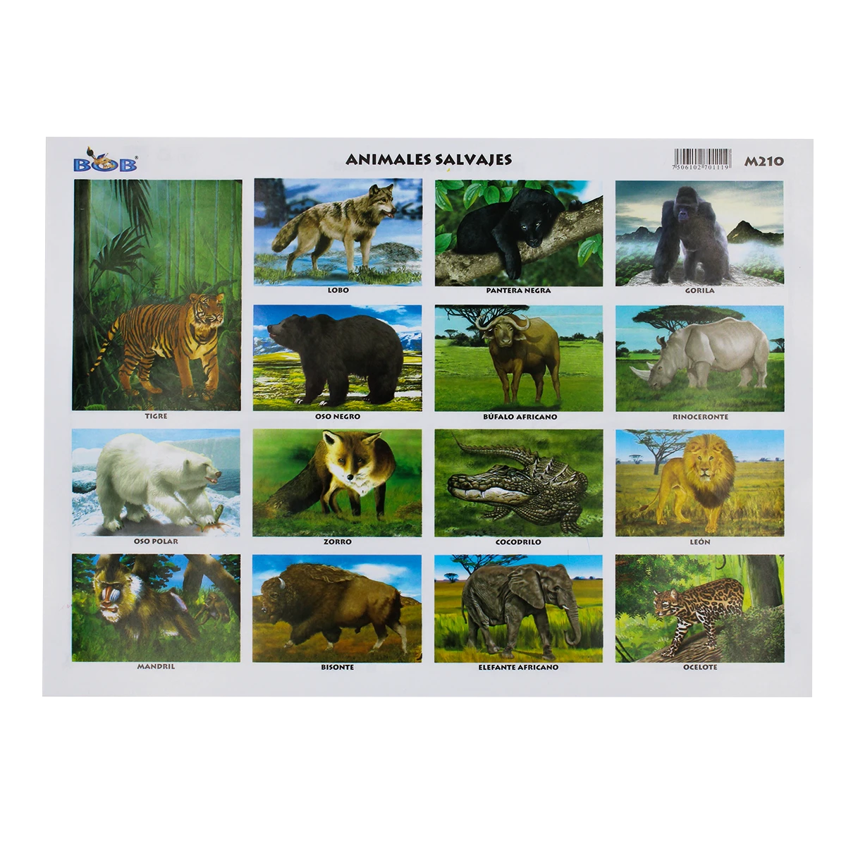 MONOGRAFIA BOB C/25 210 ANIMALES SALVAJES