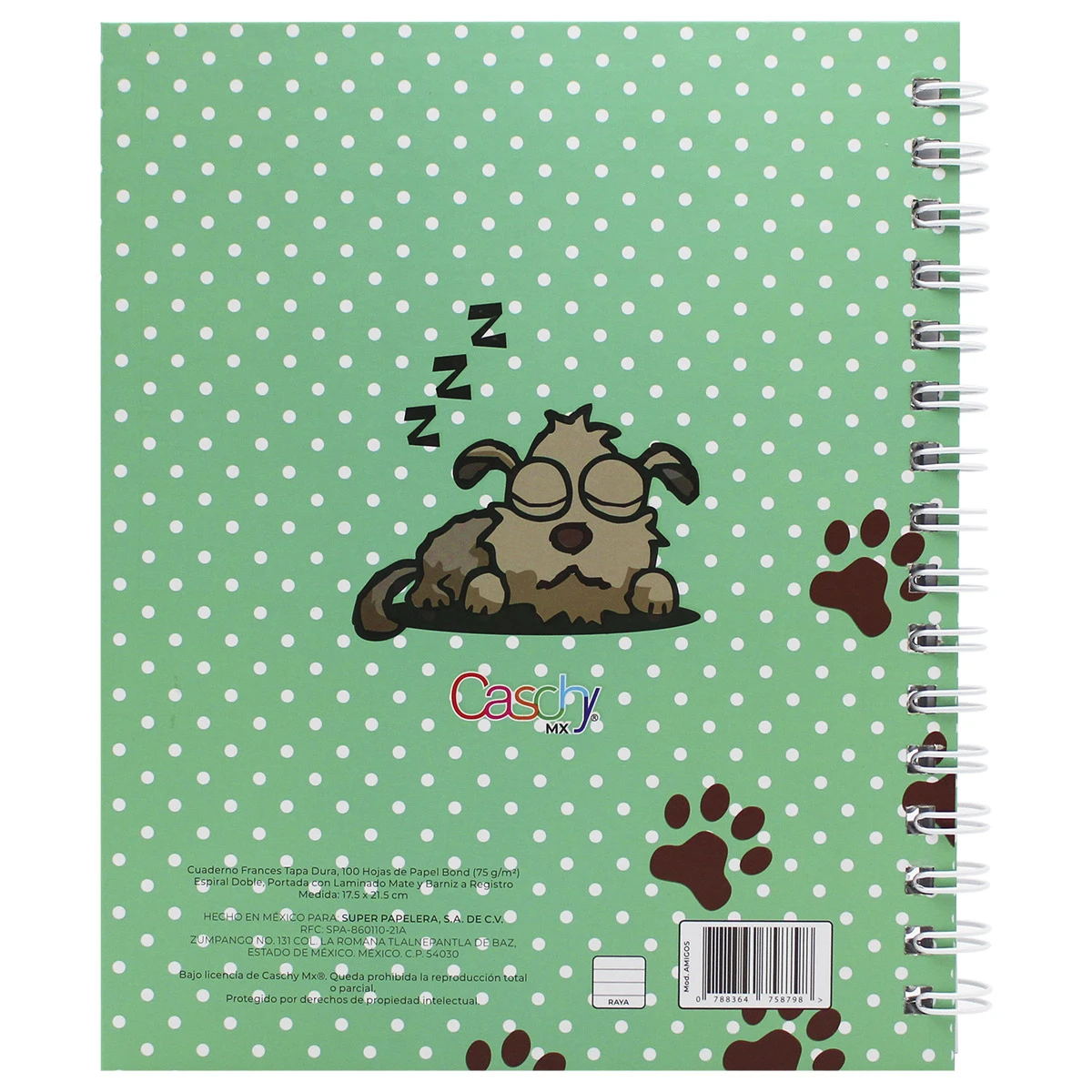 CUADERNO FRANCES 100HJS TAPA DURA AMIGOS RAYA