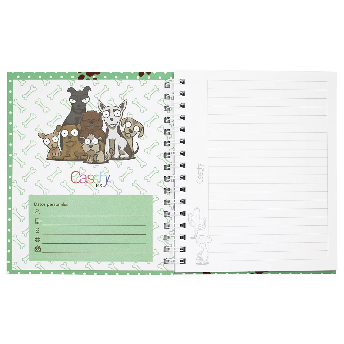 CUADERNO FRANCES 100HJS TAPA DURA AMIGOS RAYA