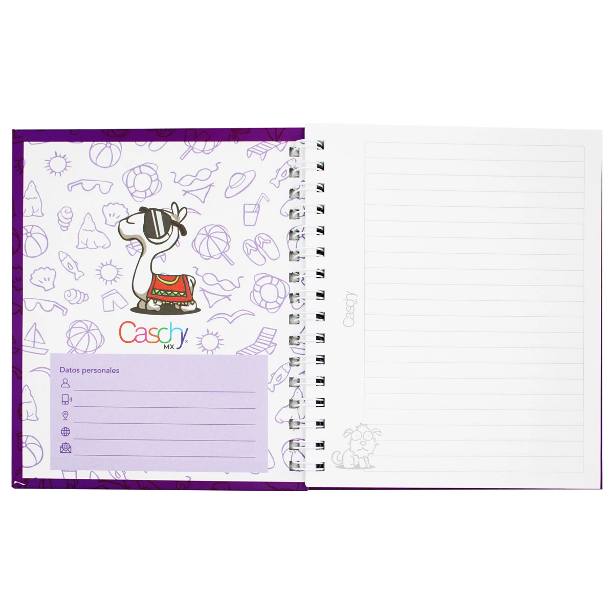 CUADERNO FRANCES 100HJS TAPA DURA COMPAÑEROS RAYA