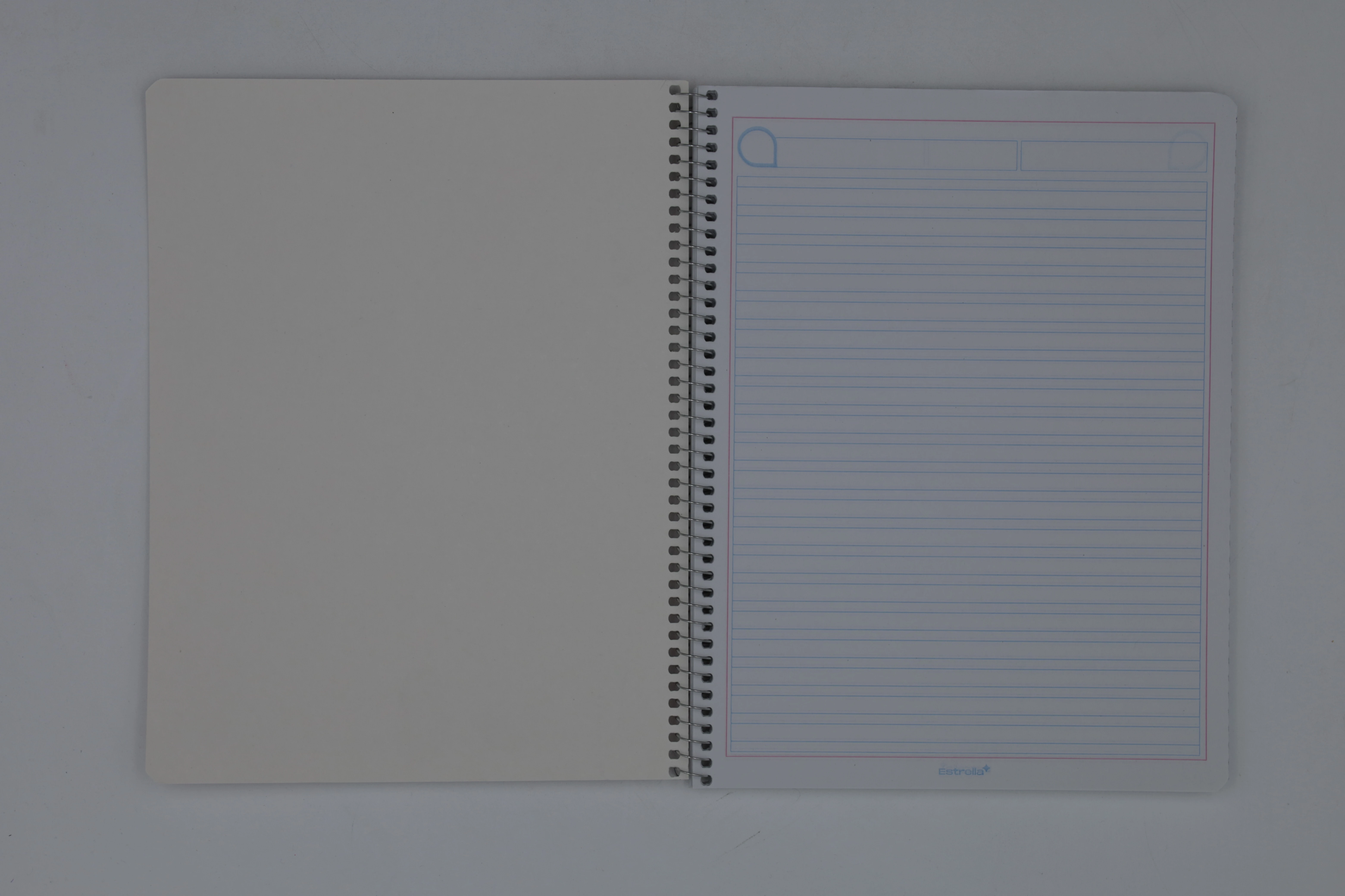 CUADERNO PROFESIONAL CORTO 100HJS ATADO DOBLE RAYA