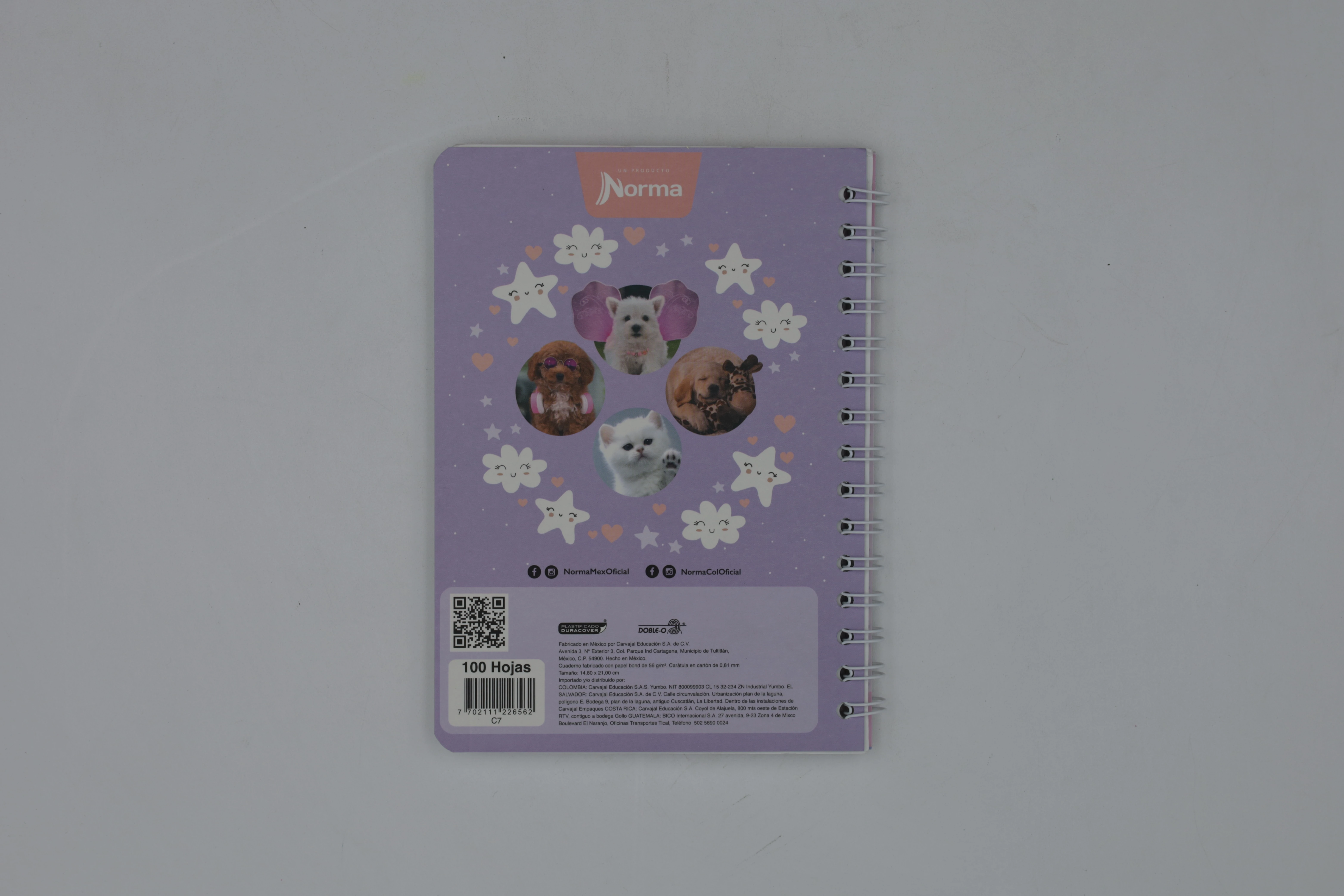 CUADERNO FRANCES 100HJS DOGS C7