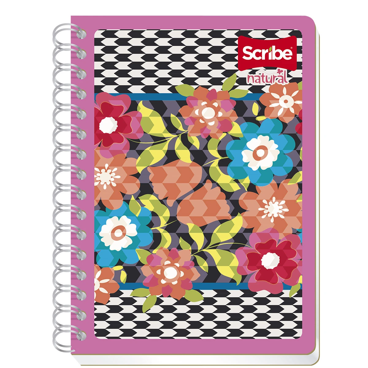 CUADERNO FRANCES 100HJS NATURAL RAYA