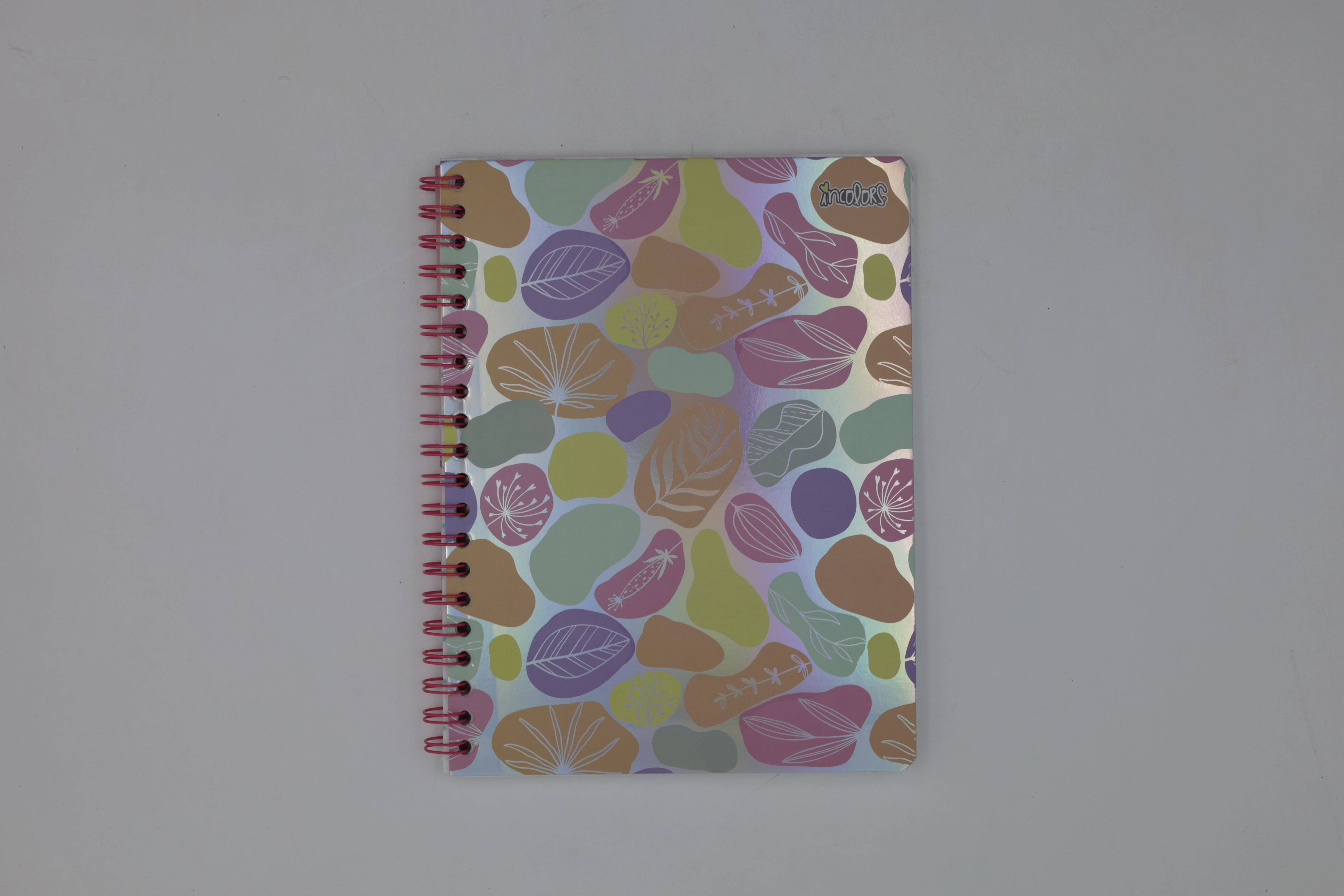 CUADERNO PROFESIONAL 100HJ IN COLORS RAYA