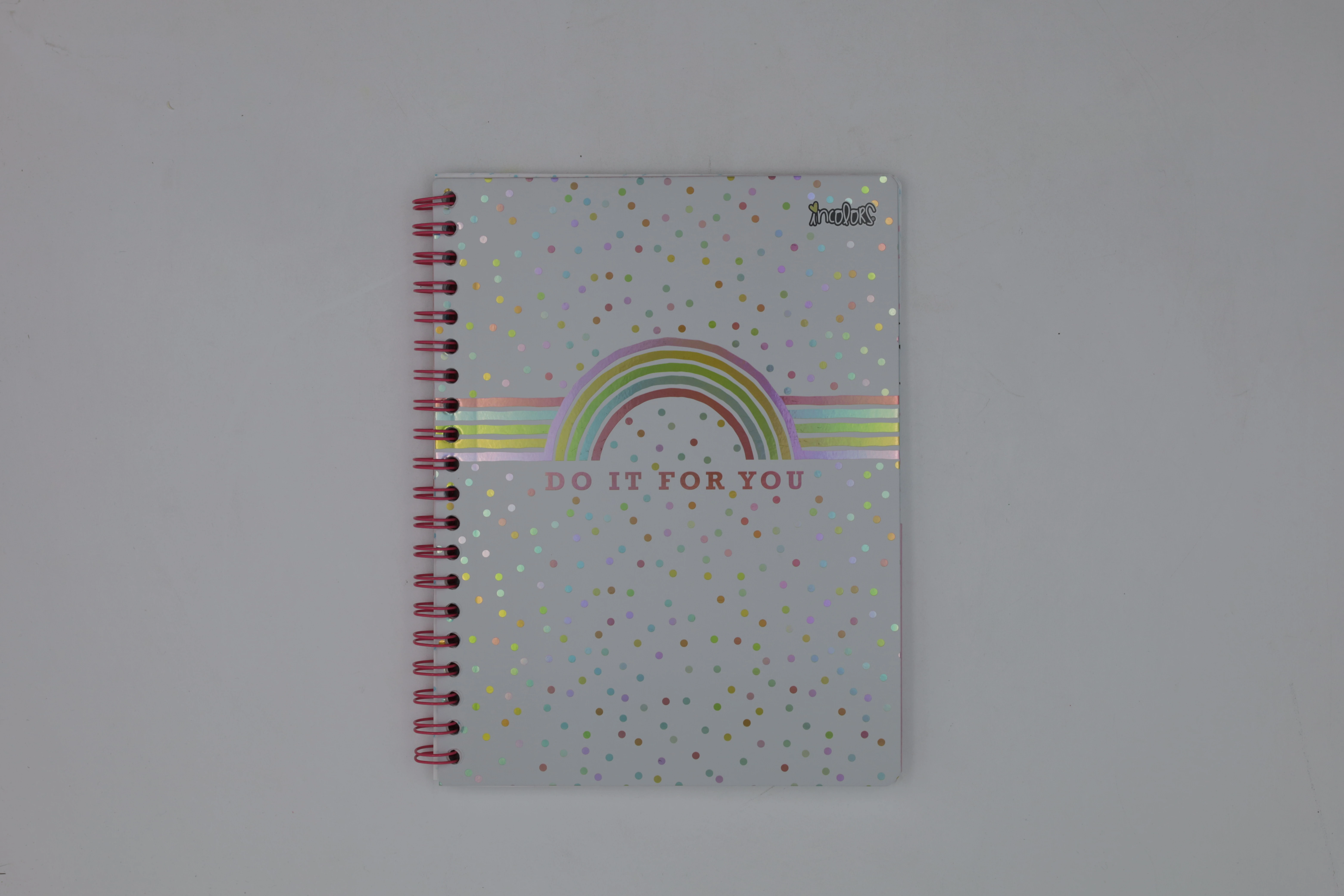 CUADERNO PROFESIONAL 100HJ IN COLORS RAYA