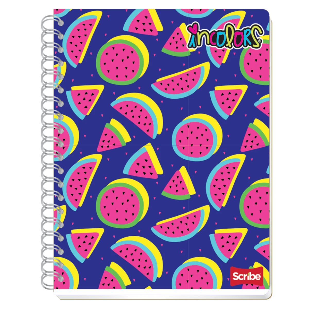 CUADERNO PROFESIONAL 100HJ IN COLORS RAYA