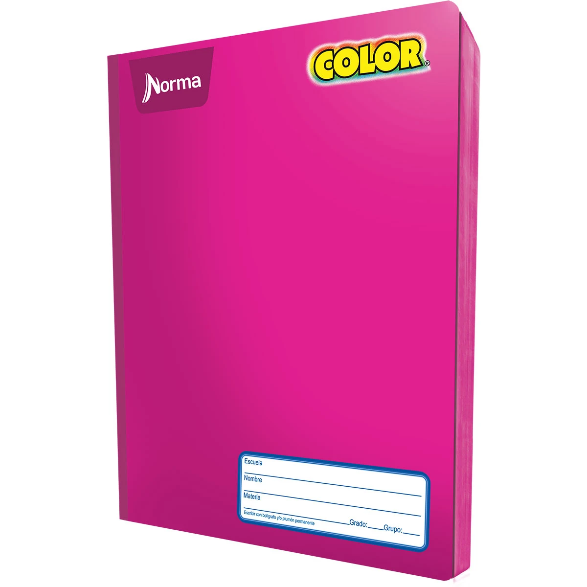 CUADERNO PROFESIONAL 100HJS COS NORMA COL 360 RY