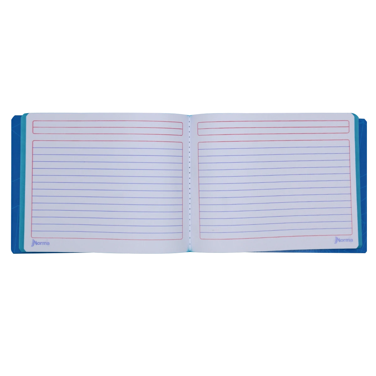 CUADERNO ITALIANO 100H COS N COL 360 RY